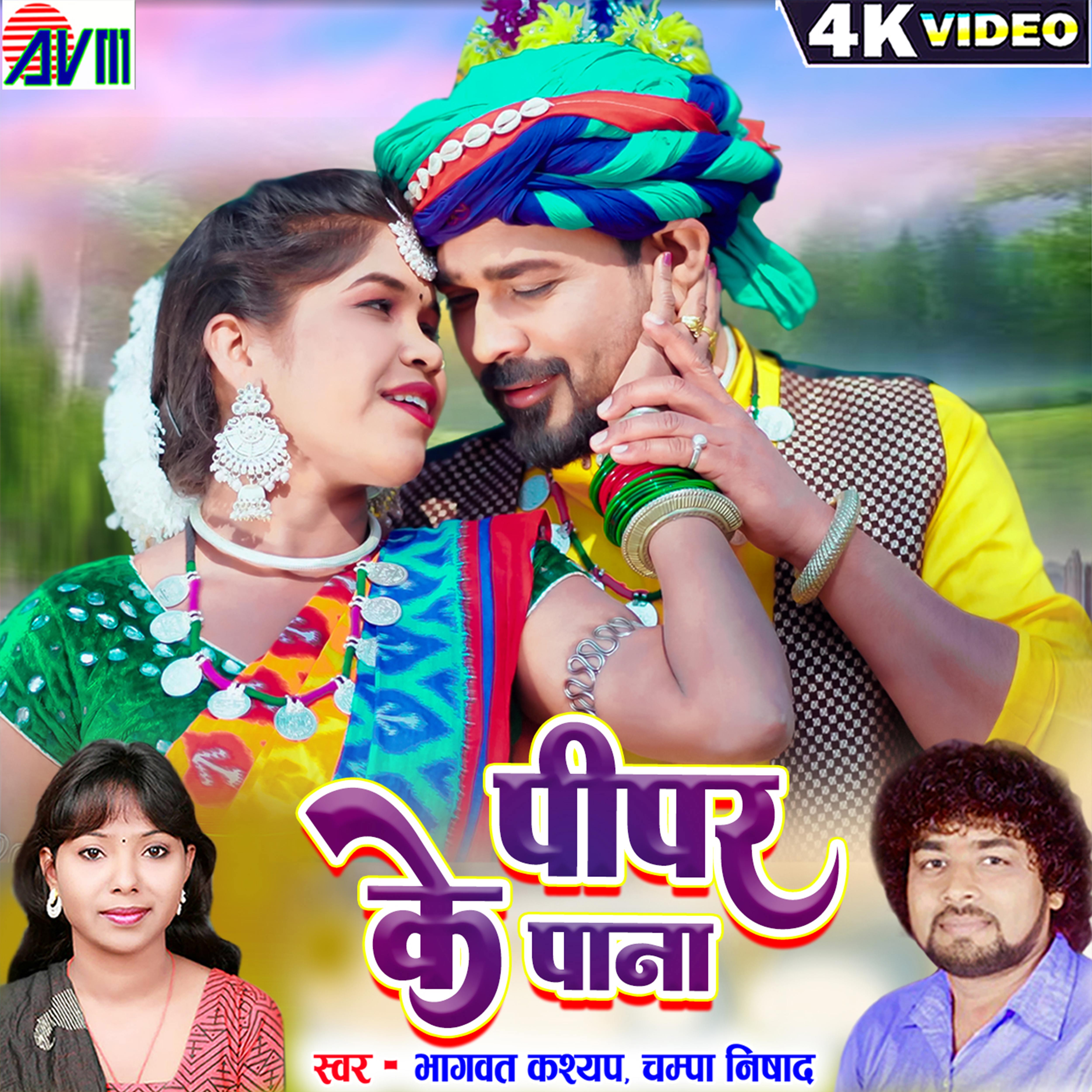 Pipar Ke Pana 